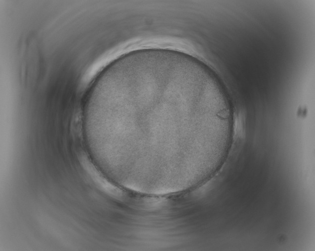 X0000111481498200908250948