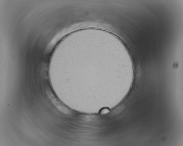 X0000111481499200908250948