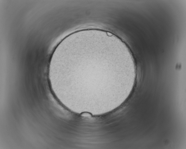 X0000111481500200908250948
