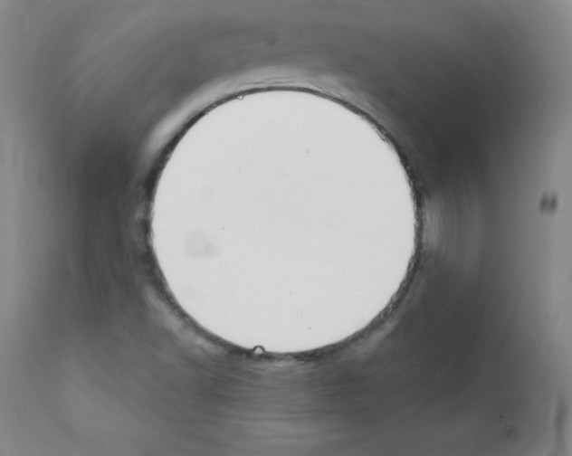 X0000111481502200908250948