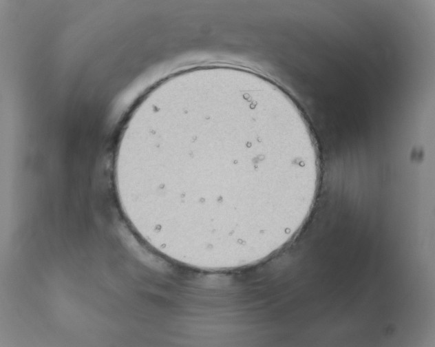 X0000111481503200908250948