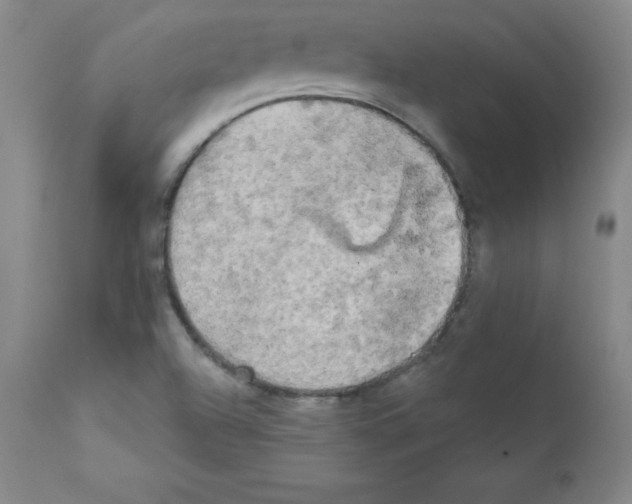 X0000111481504200908250948