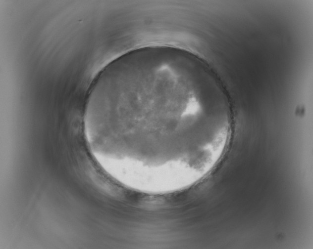 X0000111481505200908250948