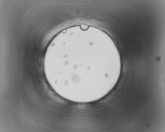 X0000111481507200908250948