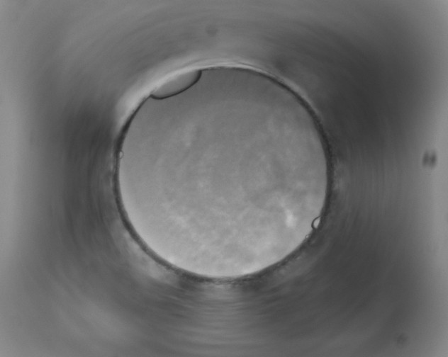 X0000111481508200908250948