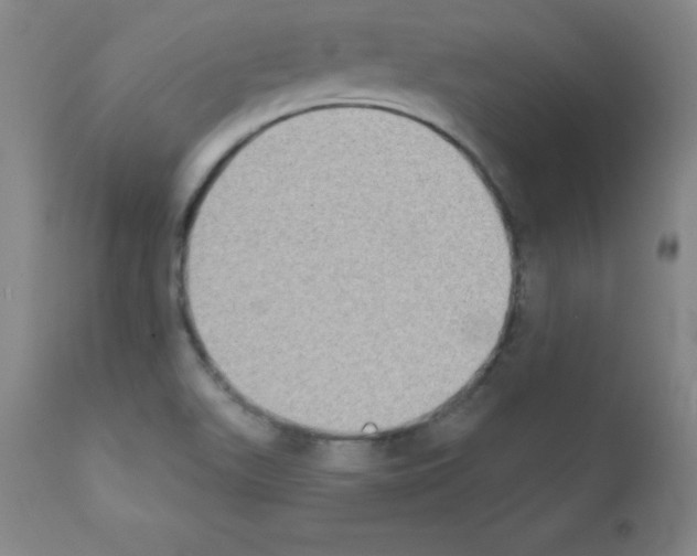X0000111481511200908250948