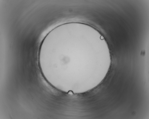 X0000111481512200908250948