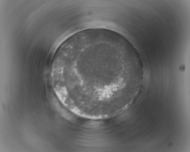 X0000111481513200908250948