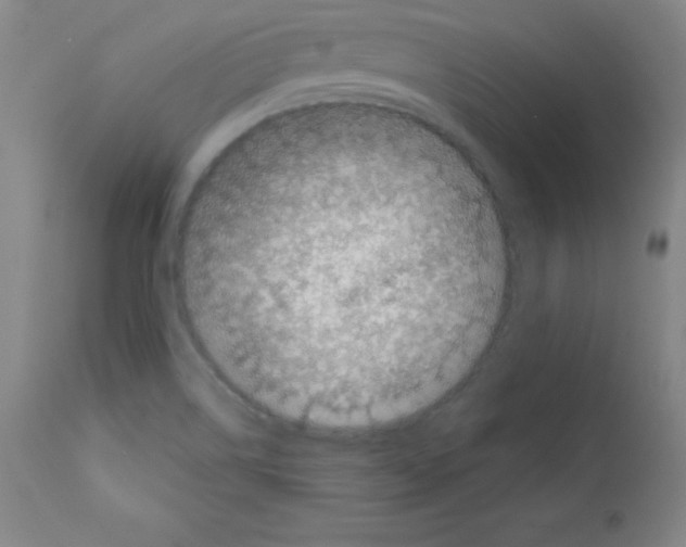 X0000111481514200908250948