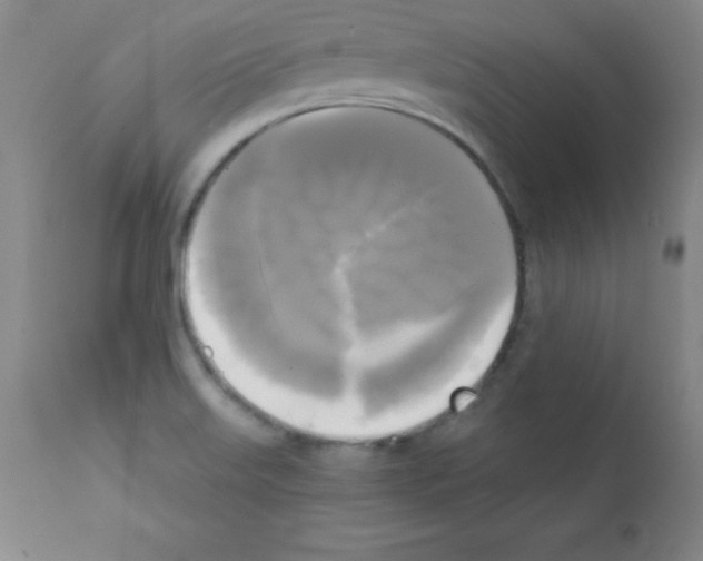 X0000111481515200908250948