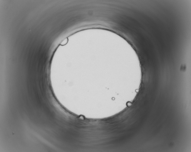 X0000111481516200908250948