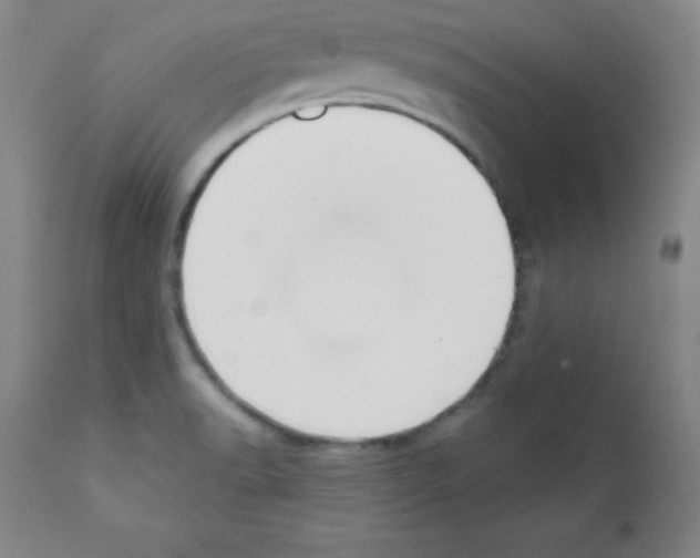 X0000111481518200908250949