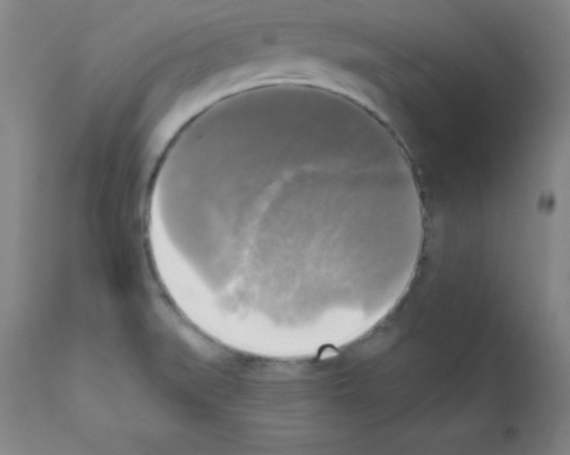 X0000111481519200908250949