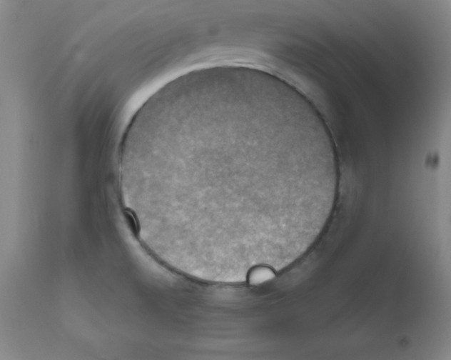 X0000111481520200908250949