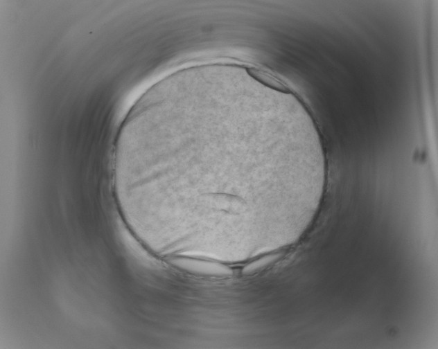 X0000111481524200908250949