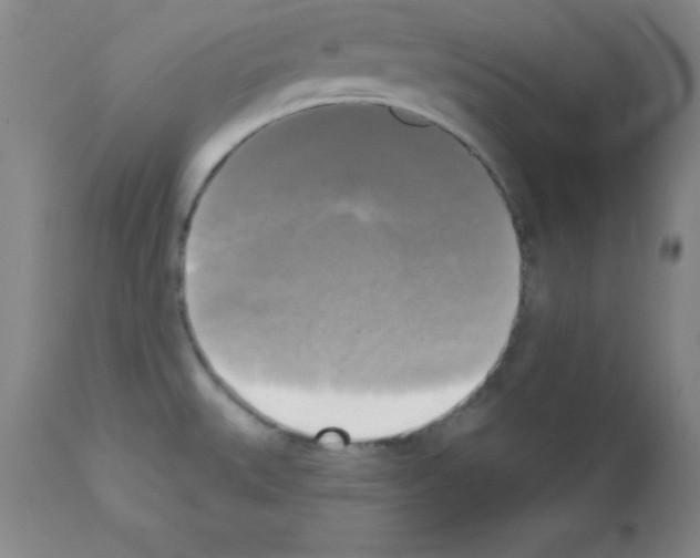 X0000111481527200908250949