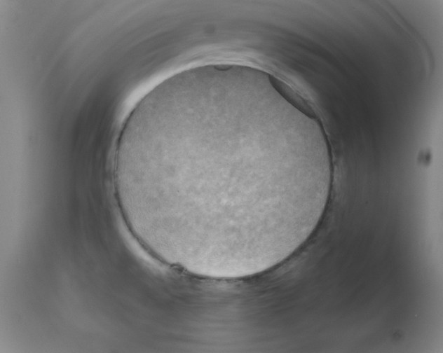 X0000111481528200908250949