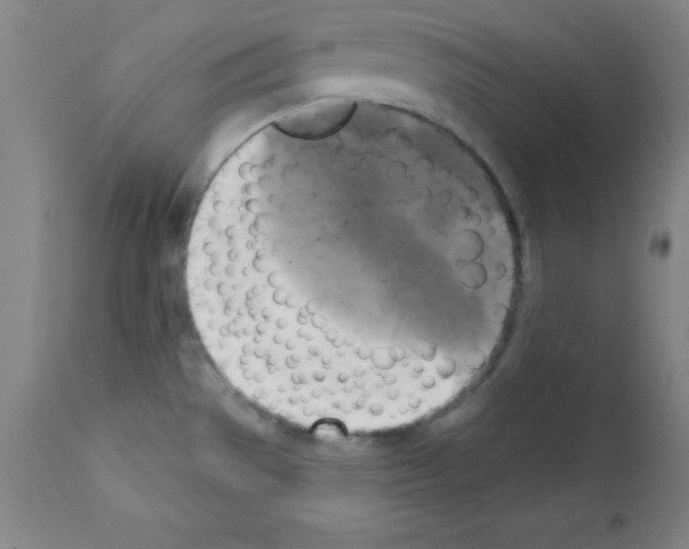 X0000111481529200908250949
