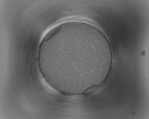 X0000111481530200908250949