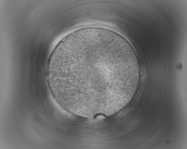 X0000111481531200908250949