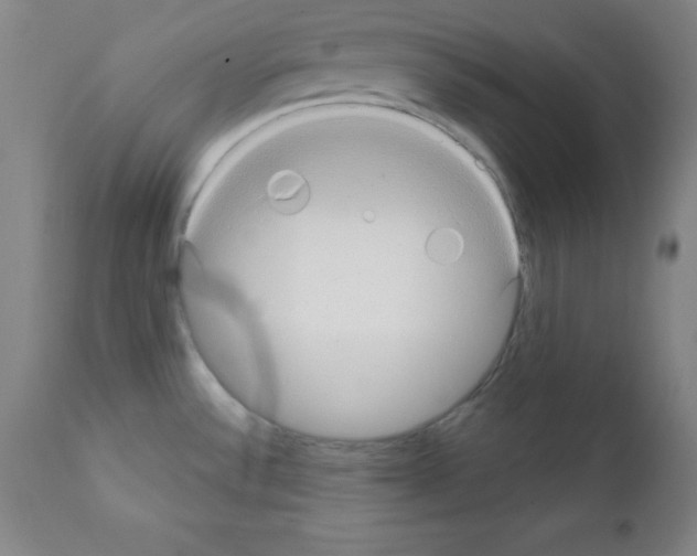 X0000111481532200908250949
