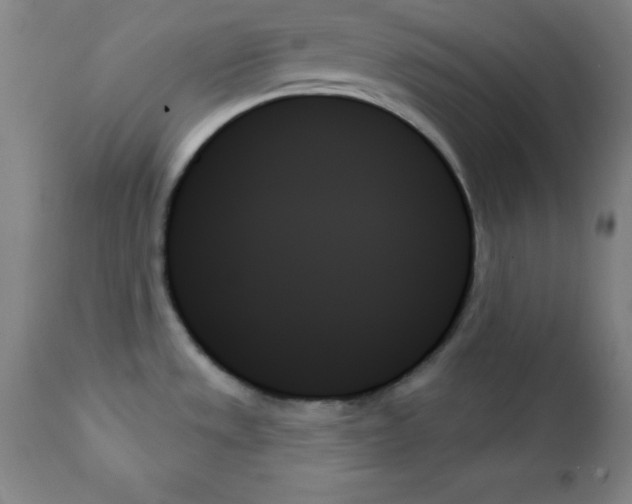 X0000111481533200908250949