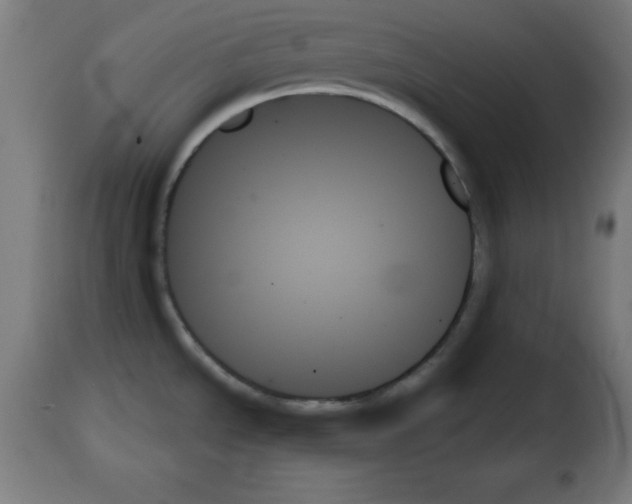 X0000111481534200908250949
