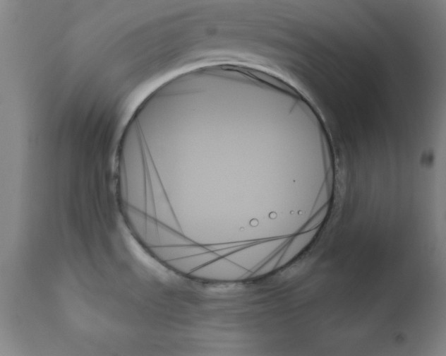 X0000111481535200908250949