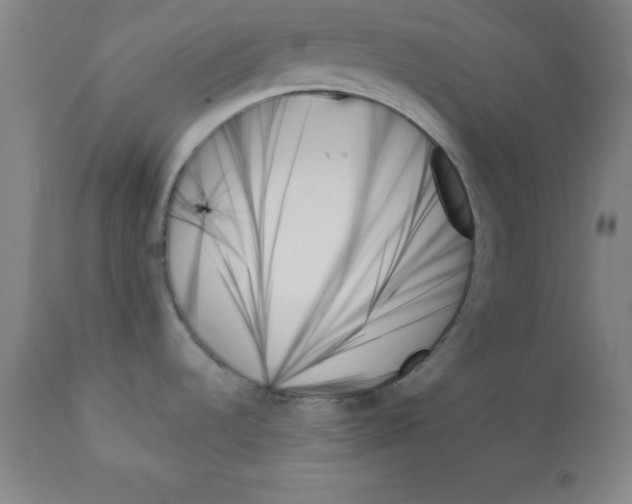 X0000111481536200908250949
