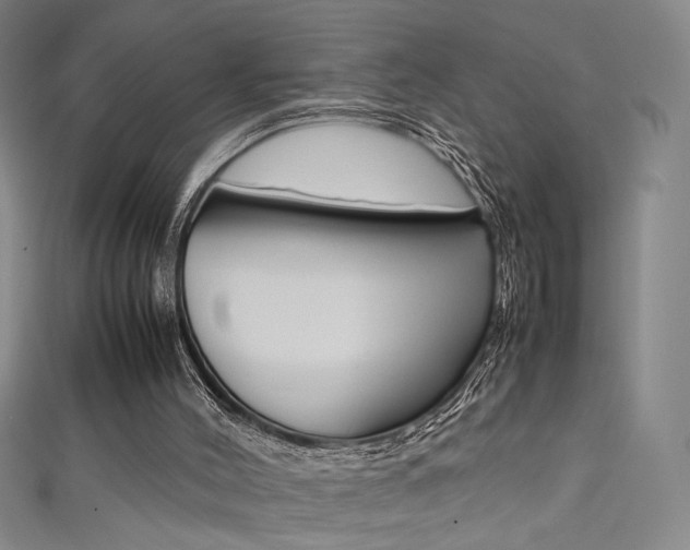 X0000111490004200907141113