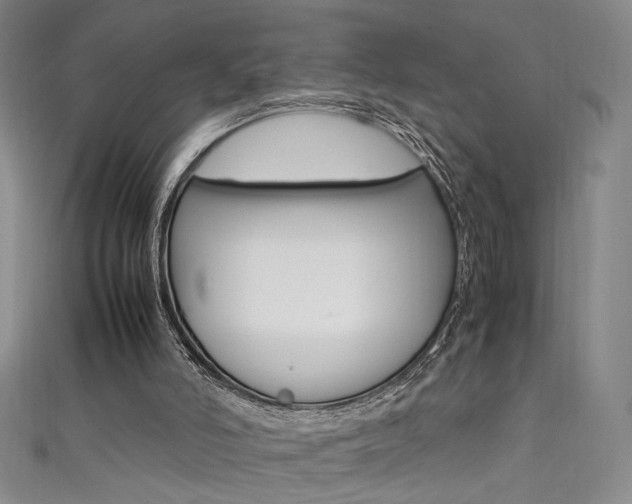 X0000111490006200907141113
