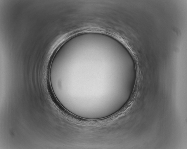 X0000111490007200907141113
