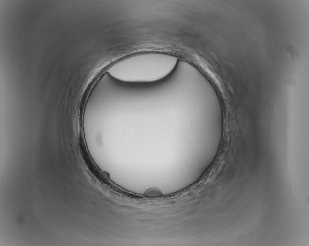 X0000111490011200907141113