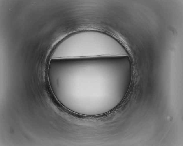 X0000111490012200907141113