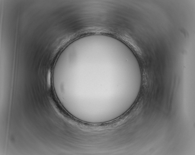 X0000111490014200907141113
