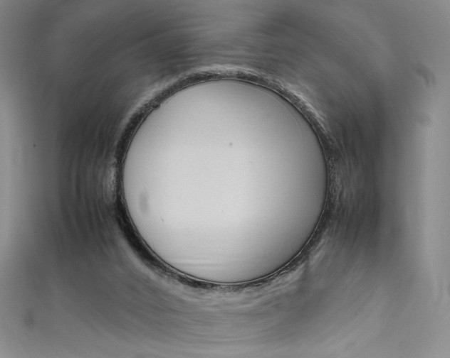X0000111490016200907141113