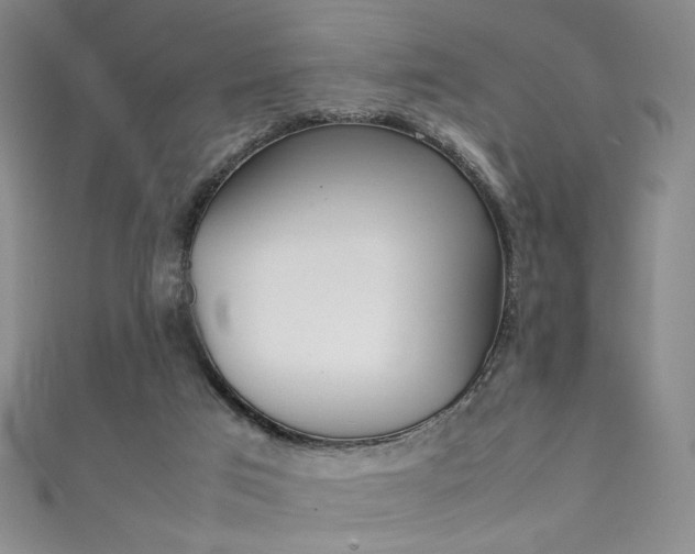 X0000111490017200907141113