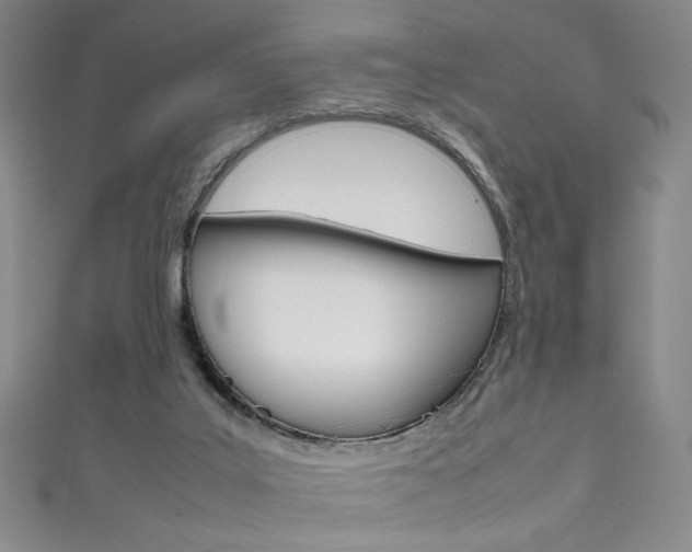 X0000111490019200907141113