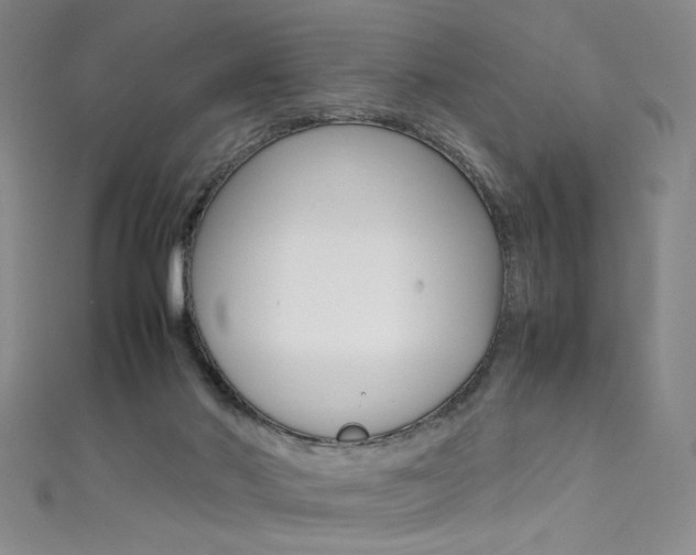 X0000111490022200907141113