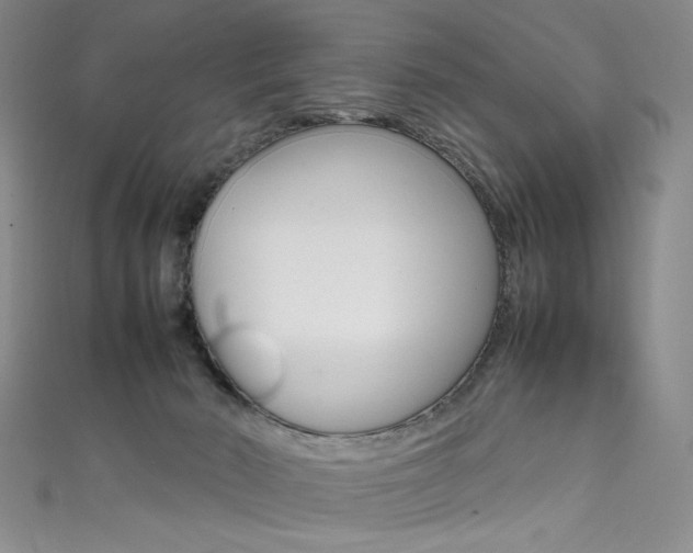 X0000111490030200907141112