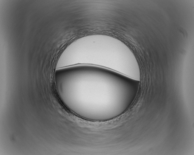 X0000111490039200907141112