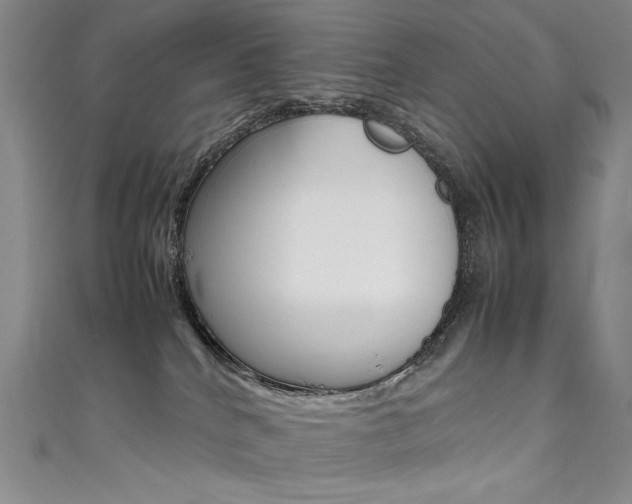 X0000111490040200907141112