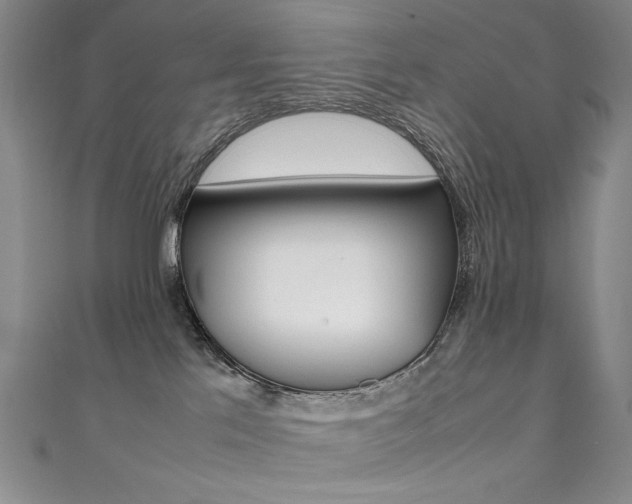 X0000111490041200907141112