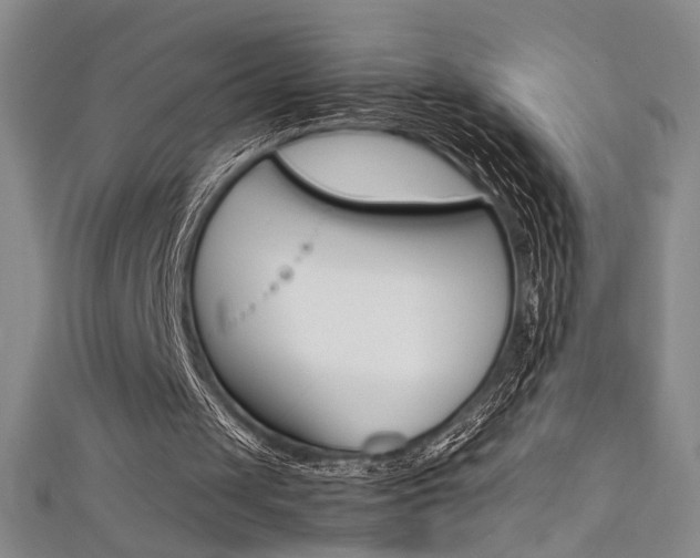 X0000111490049200907141112