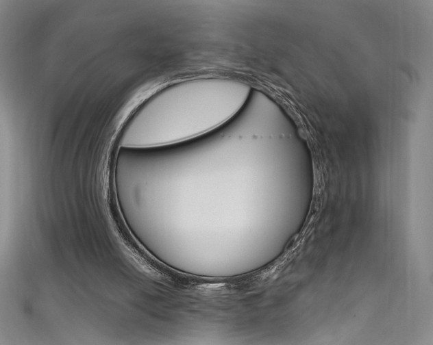 X0000111490054200907141112