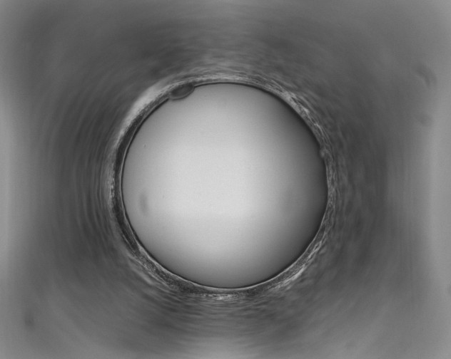 X0000111490056200907141112