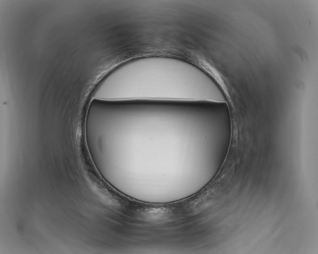 X0000111490059200907141112