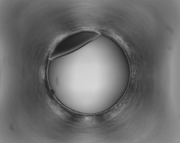 X0000111490060200907141112