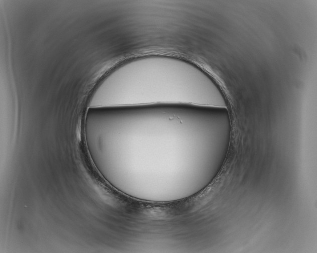 X0000111490062200907141112