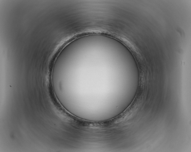 X0000111490064200907141112